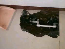 岫岩卫生间测漏水多少钱